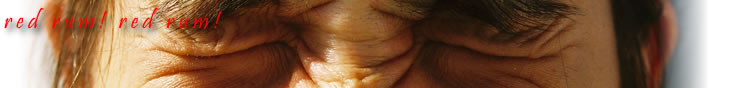 header image, a close up of Anne Dara's eye