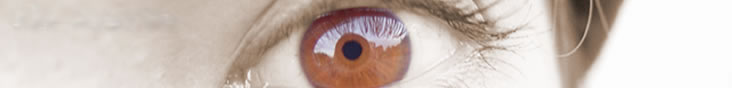 header image, a close up of Anne Dara's eye